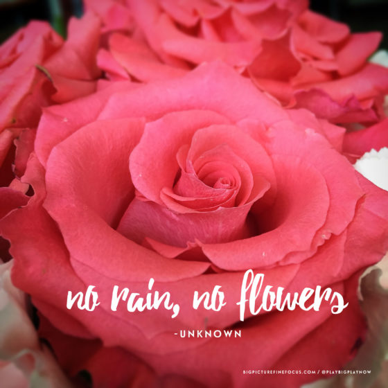 no-rain,-no-flowers