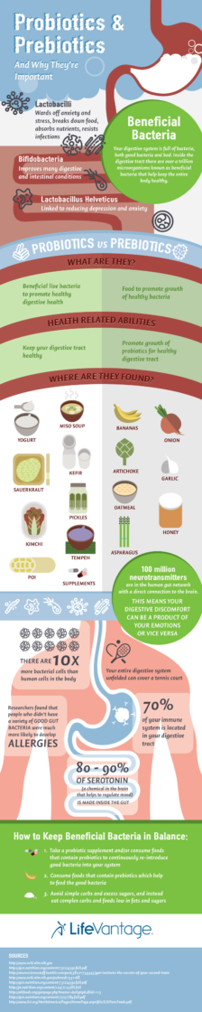 Probiotic-Prebiotic-Infographic