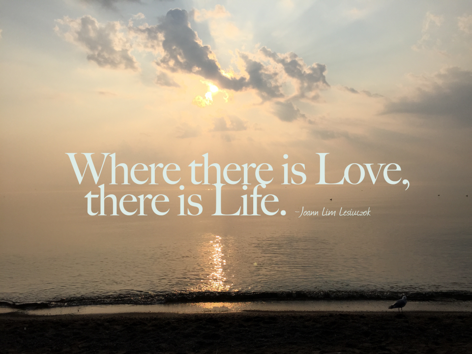 where-there-is-love,-there-is-life